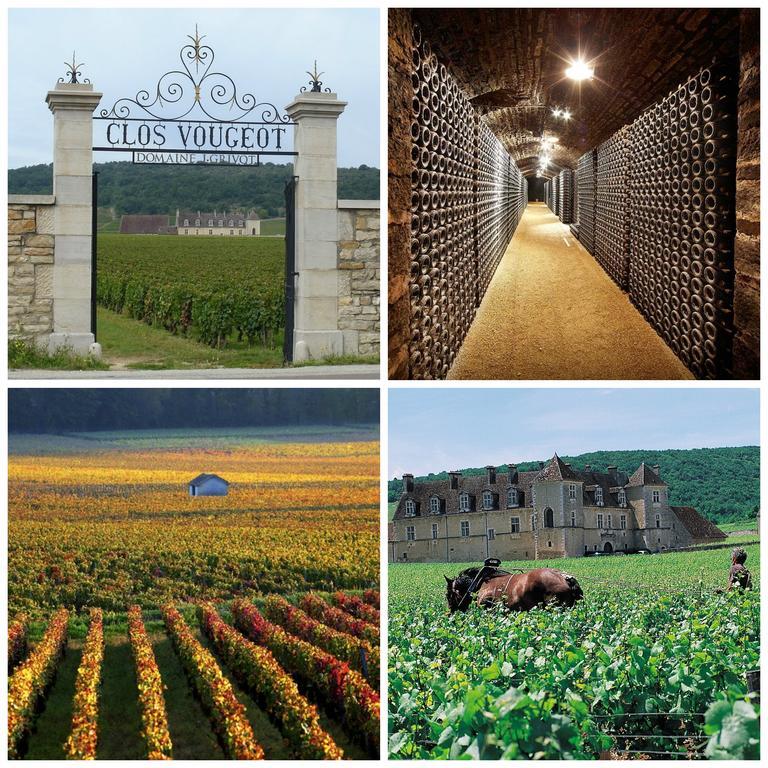 Datcha Bourguignonne Beaune Beaune  Esterno foto